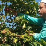 Pokhara: Sarangkot Village Coffee Culture & Local Life Hike - What Makes This Experience Stand Out