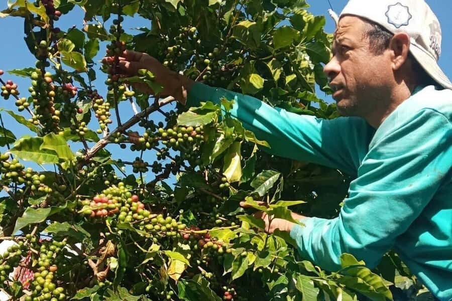 Pokhara: Sarangkot Village Coffee Culture & Local Life Hike - What Makes This Experience Stand Out