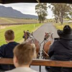 Pokolbin: Harvest the Hunter Horse Drawn Carriage Tour 3hrs - Detailed review of what to expect