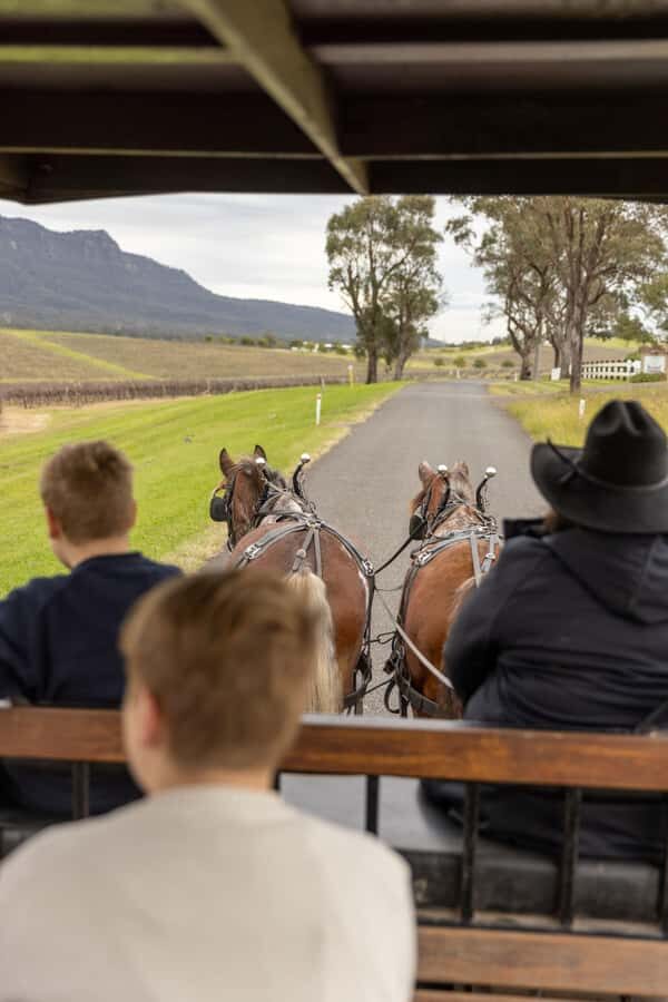 Pokolbin: Harvest the Hunter Horse Drawn Carriage Tour 3hrs - Detailed review of what to expect