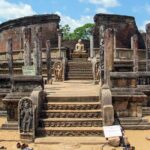 Polonnaruwa Ancient Kingdom and Wild Elephant Safari from Dambulla - What Reviewers Say (Based on Actual Feedback)