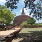 Polonnaruwa Cycling: Paddy-Field Lunch with Eco Park Safari - Authentic Village-Style Lunch Amidst Green Rice Fields