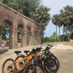Pondicherry Beaches and History Guided Tour - What You Can Expect from the Tour