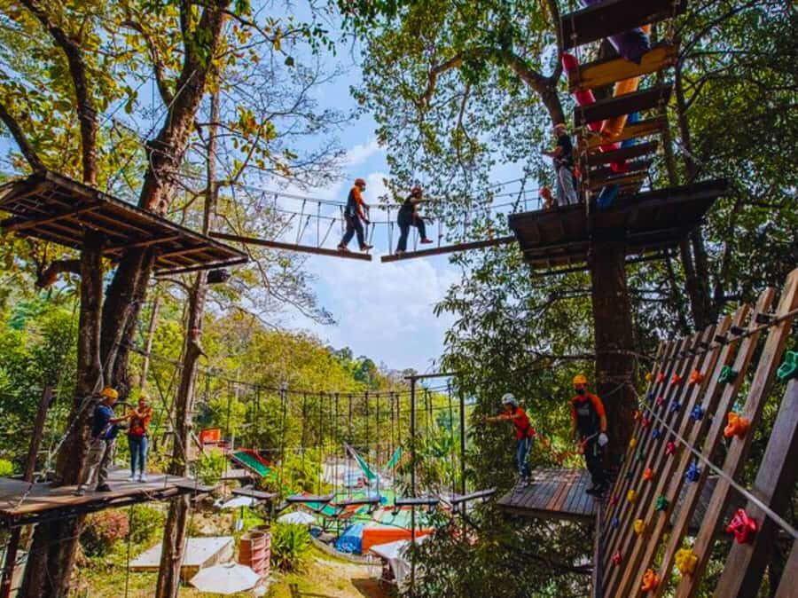 Pongyang Jungle Coaster & Zipline (Transfer) - The Itinerary and Experience Breakdown