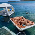 Ponton Day Trip SWIM with fishs All meals included & Transport - Practical Tips for Booking & Enjoying the Tour