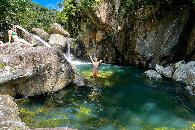 Pork Highway and Rainforest Excursion with transport - Why This Tour Offers Good Value