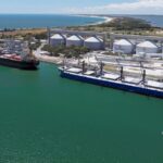 Port and Dolphin Cruise Bunbury Tour - Analyzing the Value: Is It Worth It?