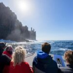 Port Arthur: Cape Raoul Wilderness Cruise - Wildlife and Natural Wonders