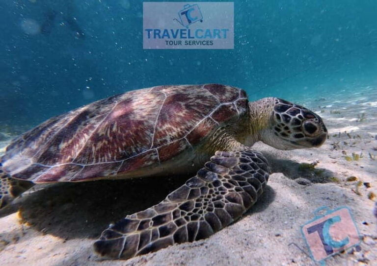 PORT BARTON: Full-day Shared Island Hopping Tour A - Detailed Breakdown of the Itinerary