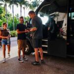 Port Douglas: Afternoon Daintree Tour w/ Wildlife Cruise - The Itinerary in Detail