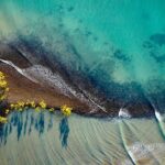 Port Douglas Day Tour from Cairns - What Travelers Say (Based on Review Data)