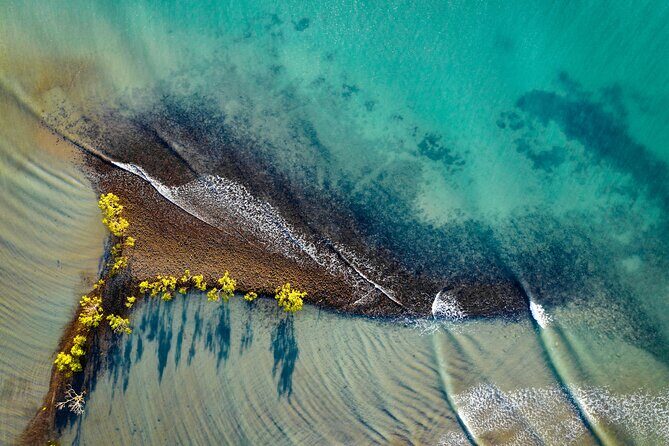 Port Douglas Day Tour from Cairns - What Travelers Say (Based on Review Data)