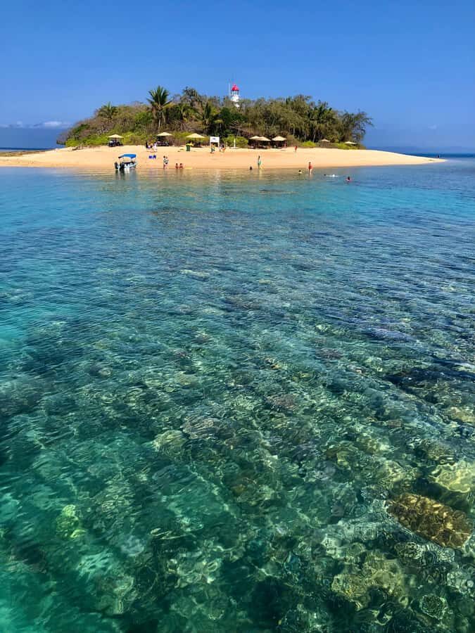 Port Douglas: Half-Day Low Island and Lagoon Snorkeling Tour - The Itinerary Breakdown