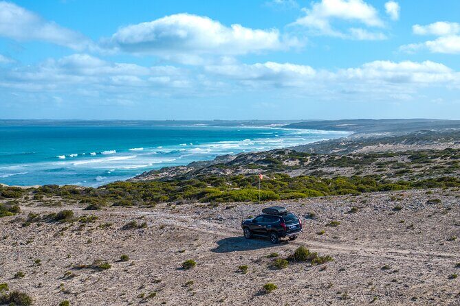 Port Lincoln National Park Half day Tour - Overview of the Tour Experience
