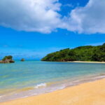 Port Pick-Up: Naha Private Tour Licensed Guide Vehicle - Good To Know