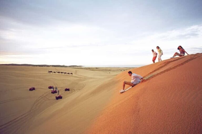 Port Stephens: Dolphin, Lunch, Koalas&Sandboarding -Mandarin - Practical Tips for Making the Most of Your Day