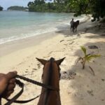Portland, Jamaica: Horseback Riding Tour - The Experience from a Traveler’s Perspective