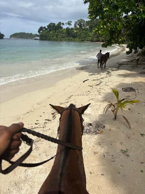 Portland, Jamaica: Horseback Riding Tour - The Experience from a Traveler’s Perspective