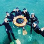 Portsea: Guided Snorkeling Tour with Weedy Sea Dragons - Why This Tour Offers Great Value