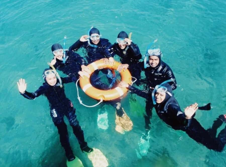 Portsea: Guided Snorkeling Tour with Weedy Sea Dragons - Why This Tour Offers Great Value