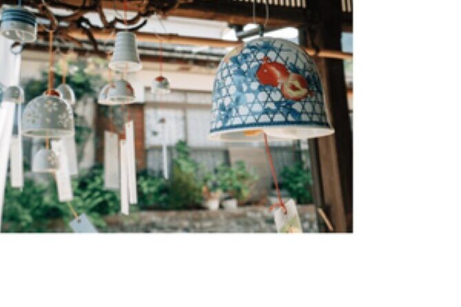 Pottery Paradise Getaway Charming House Stay and Japanese Cooking - The Cultural and Culinary Highlights: Staying in a Traditional Japanese House