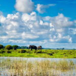 Pottuvil Lagoon Eco Tour : Mangrove Adventure in Arugam Bay - What Reviewers Love About This Tour