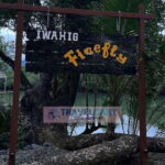 PPC IWAHIG Firefly Watching - Why This Tour Is a Good Choice