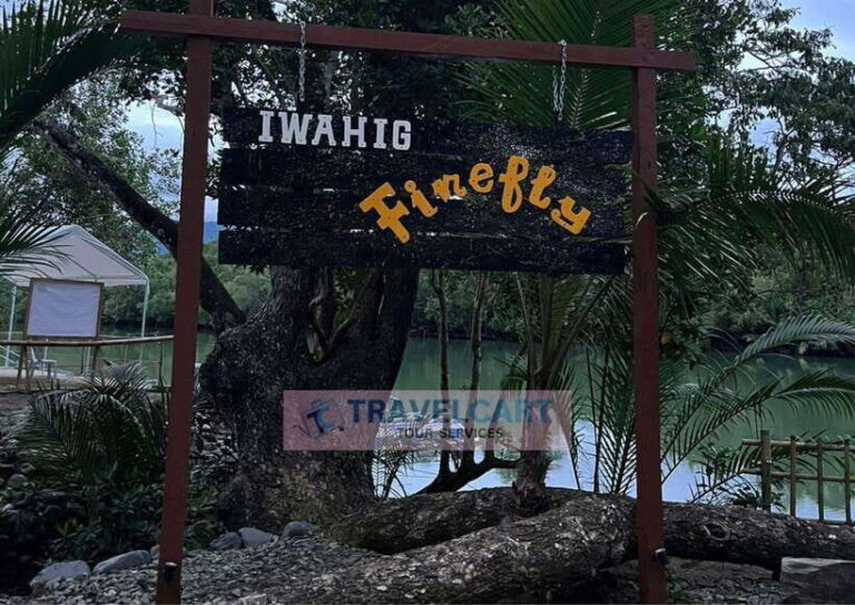 PPC IWAHIG Firefly Watching - Why This Tour Is a Good Choice