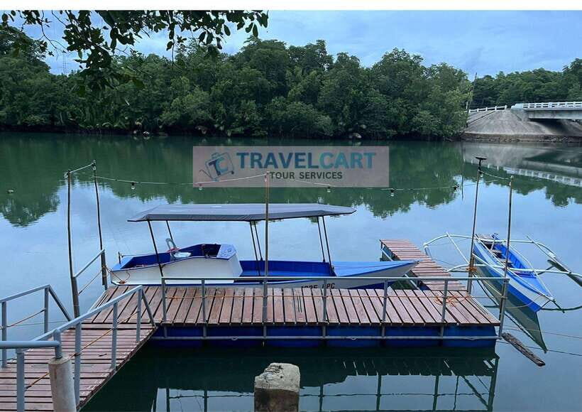 PPC IWAHIG Firefly Watching - Why the PPC Iwahig Firefly Watching Tour Stands Out