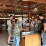 Prambanan Guided Tour & Borobudur Climb with the Tickets - Visiting Borobudur: A Mountain of Buddhist Art