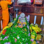 Prayagraj Day Tour (Triveni Sangam) from Varanasi - Lunch Break: Sampling Local Flavors