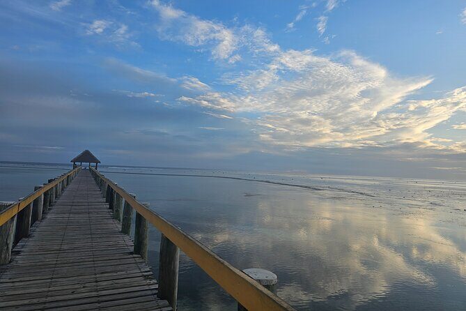 Premier Transfers and Tours Fiji - Final Thoughts