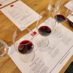 Premium All-Inclusive Barossa Food and Wine Minibus Tour - Who Should Consider This Tour?
