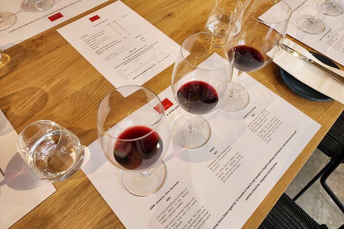 Premium All-Inclusive Barossa Food and Wine Minibus Tour - Who Should Consider This Tour?