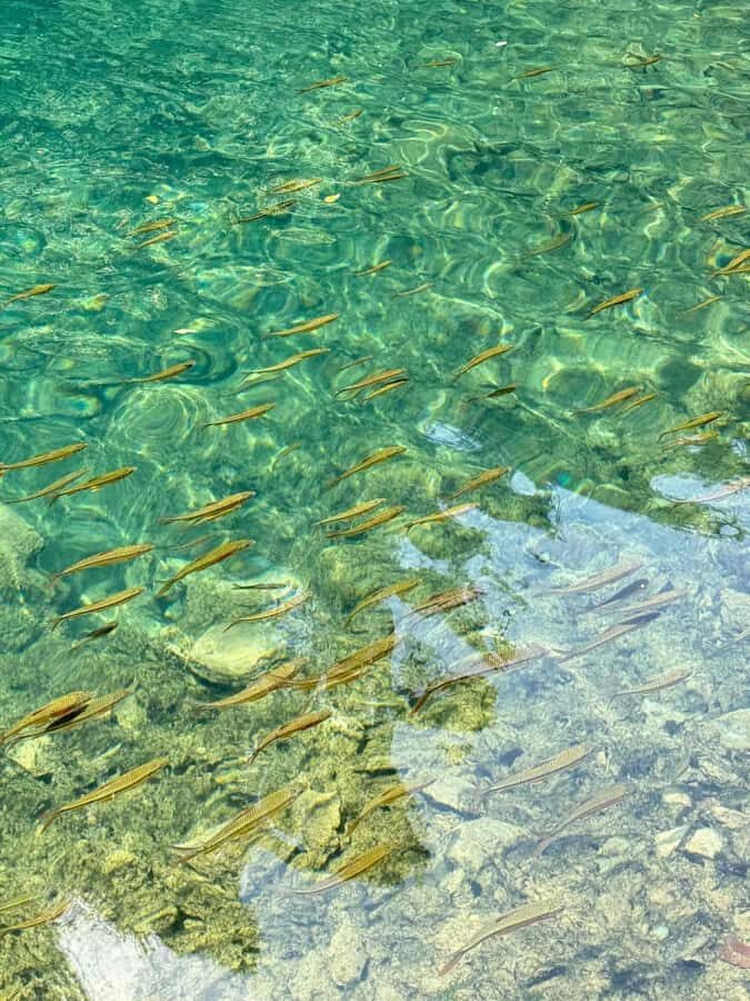 Premium Day Trip to Xiaoqikong - The Value of This Experience