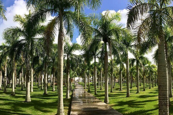 Presidential Suites By Lifestyle- Puerto Plata Airport - What’s Included and What’s Not