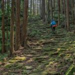 Private 2-Day Tour (16): Wakayama Coast & Kumano Kodo - Exploring the Wakayama Coast & Kumano Kodo: An In-Depth Review