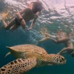 Private 3 Gili Trip - FAQs