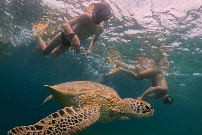 Private 3 Gili Trip - FAQs