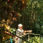 Private 4WD Tour to Trunk Bay St John - Practical Tips for Booking and Enjoying the Tour