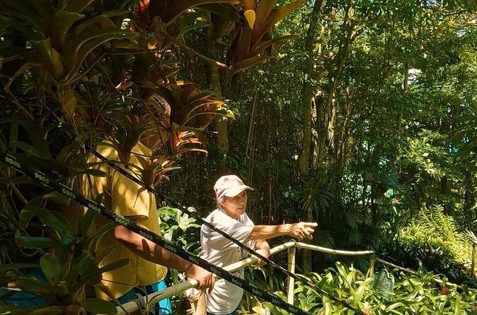 Private 4WD Tour to Trunk Bay St John - Practical Tips for Booking and Enjoying the Tour