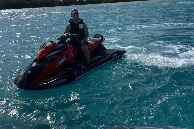 Private 8 Hours Full Day Tour at Bleus - What Travelers Can Expect from the Experience