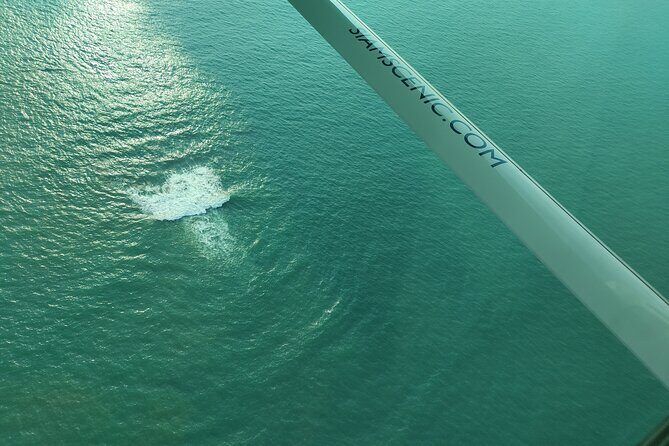 Private Air Charter Transfer from Bangkok to Pattaya - What Travelers Can Expect