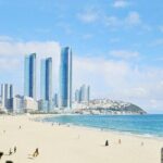 Private Airport, Train Station & Hotel Transfer Service in Busan - Why This Transfer Service Works Well for Travelers