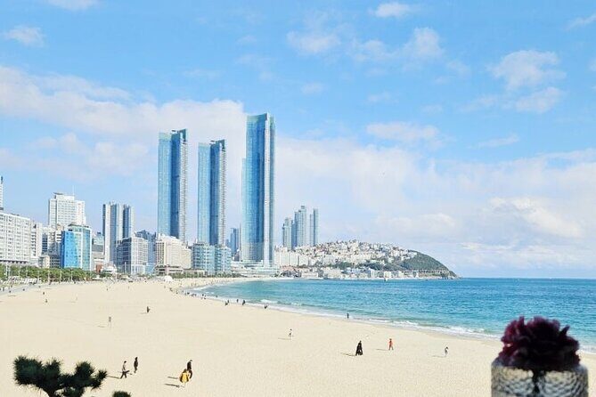 Private Airport, Train Station & Hotel Transfer Service in Busan - Why This Transfer Service Works Well for Travelers