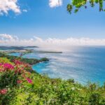 Private Airport Transfer to/from Ritz-Carlton - St. Thomas - Practical Tips for Booking