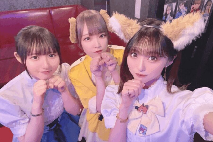 Private Akihabara Anime Game Maid Cafe Tour w/ free pickup - Who Should Consider This Tour?