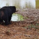 Private All-Inclusive Yala National Park Safari Bentota or Galle - The Sum Up