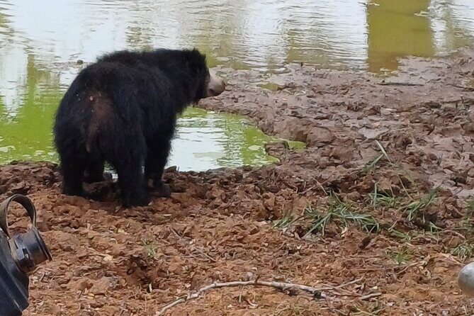 Private All-Inclusive Yala National Park Safari Bentota or Galle - The Sum Up