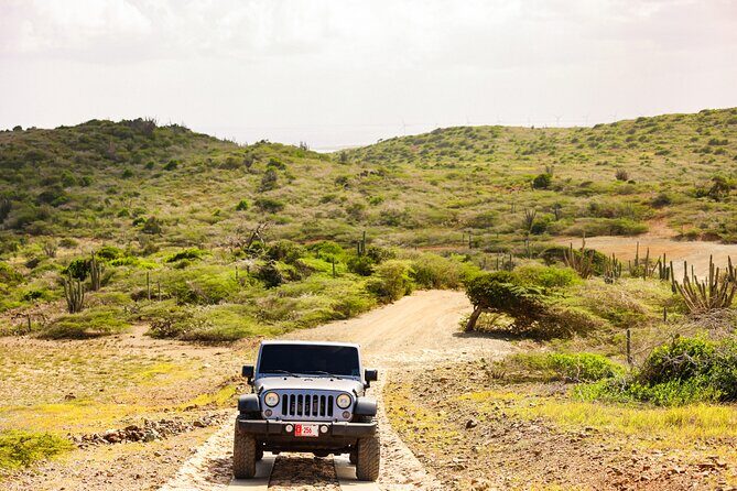 Private and Customized Aruba 4X4 Jeep Adventure - Who Will Love This Tour?